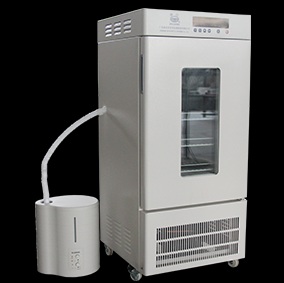 ҩ���ȶ���������